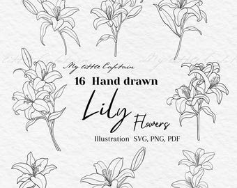 Hand Drawn Lily Flowers Illustration – Botanical Line Art,Minimalist Floral Vector