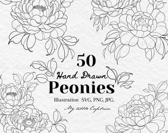 Hand drawn peonies clip art bundle, floral outline illustration, flower digital download
