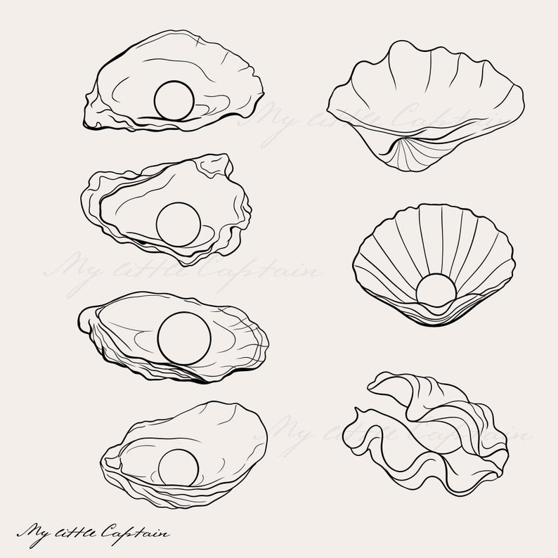 Hand Drawn Seashells Clipart: Coastal Line Art (svg, Png, Pdf, Jpg, Ai ...
