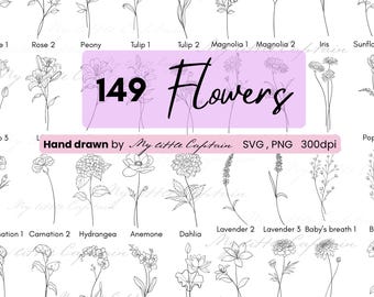 149 Hand Drawn Flower Line Art Clipart, Botanical Illustration Set (SVG, PNG)
