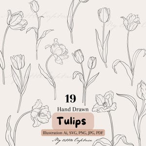以下が含まれることがあります： クリーム色の背景に、黒い線画で描かれた手描きのチューリップのイラスト。さまざまなチューリップの花と葉が含まれており、「19 Hand Drawn Tulips」というテキストとファイルの種類情報が表示されています。
