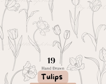 Handgezeichnete Tulpenblumenillustration - Botanische Linie Kunst, minimalistischer Blumenvektor