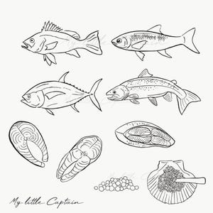 May include: Black and white line art illustration of various fish, including whole fish and fish steaks. The image also includes a scallop shell with caviar and a spoon, and a pile of caviar. The text "My little Captain" is at the bottom.