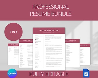 Modern Resume Template Word & Pages, ATS Friendly CV, Executive Style
