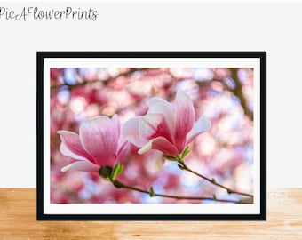 Spring Art Print, Magnolias Photo, Spring Wall Art, Spring Flower Photography, Magnolia Print, Botanical Wall Art, Floral Photo Print