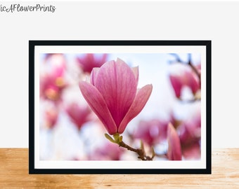 Magnolia Art Print, Spring Art Print, Magnolia Photography, Botanicals Print, Nature Print, Wall Decor, New York Spring Print, Pink Flower