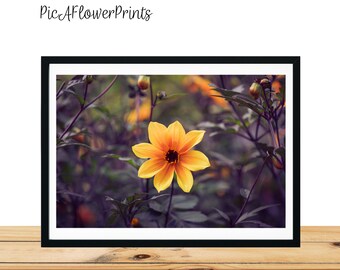 Yellow Flower Print, Biden's Aristosa Flower Print, Botanical Print, Home Decor Wall Art, Flower Art Print