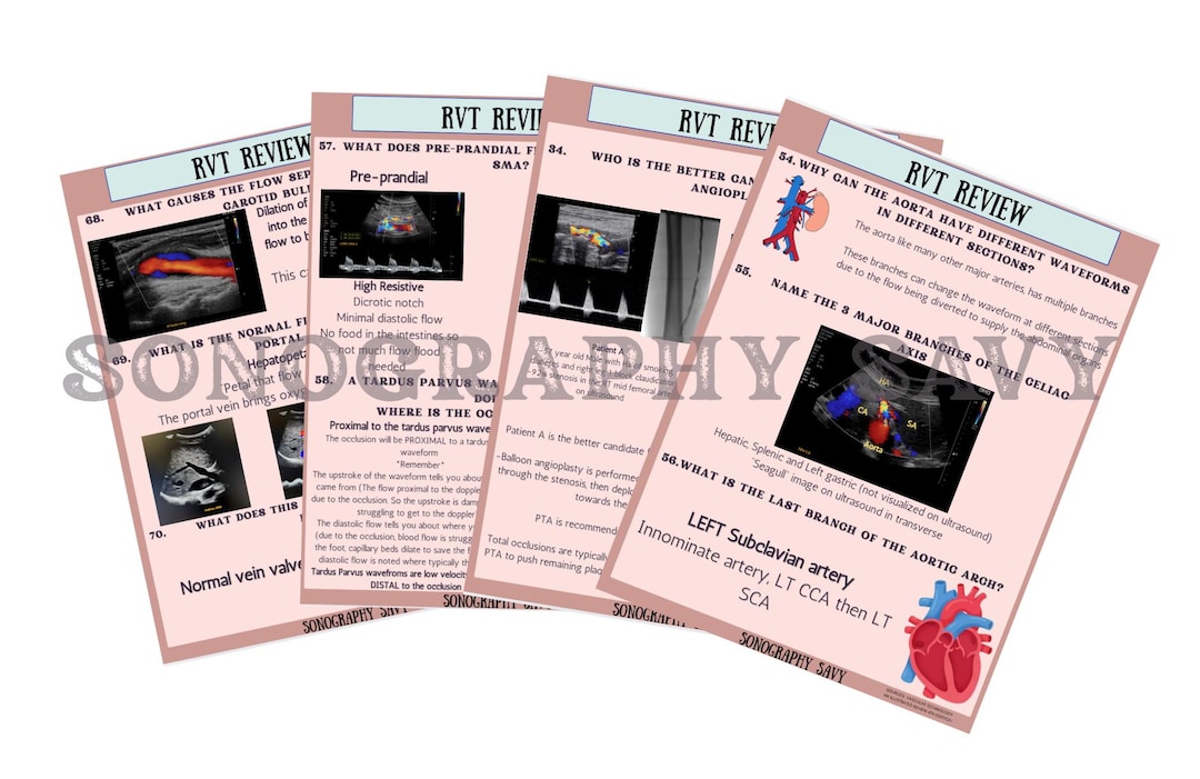 Board Rvt RVT Vascular Board Review - Etsy