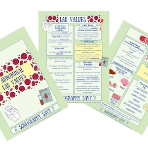 Könnte beinhalten: Drei grüne und gelbe Informationsposter mit roten Kreisen und einem Cartoon-Arzt. Die Poster sind mit "Abdominale Laborwerte", "Laborwerte" und "Aspartat-Aminotransferase (AST)" betitelt. Die Poster liefern Informationen über Labortests und deren normale Bereiche.