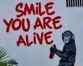 Smile, You Are Alive, Banksy(framed) - Etsy