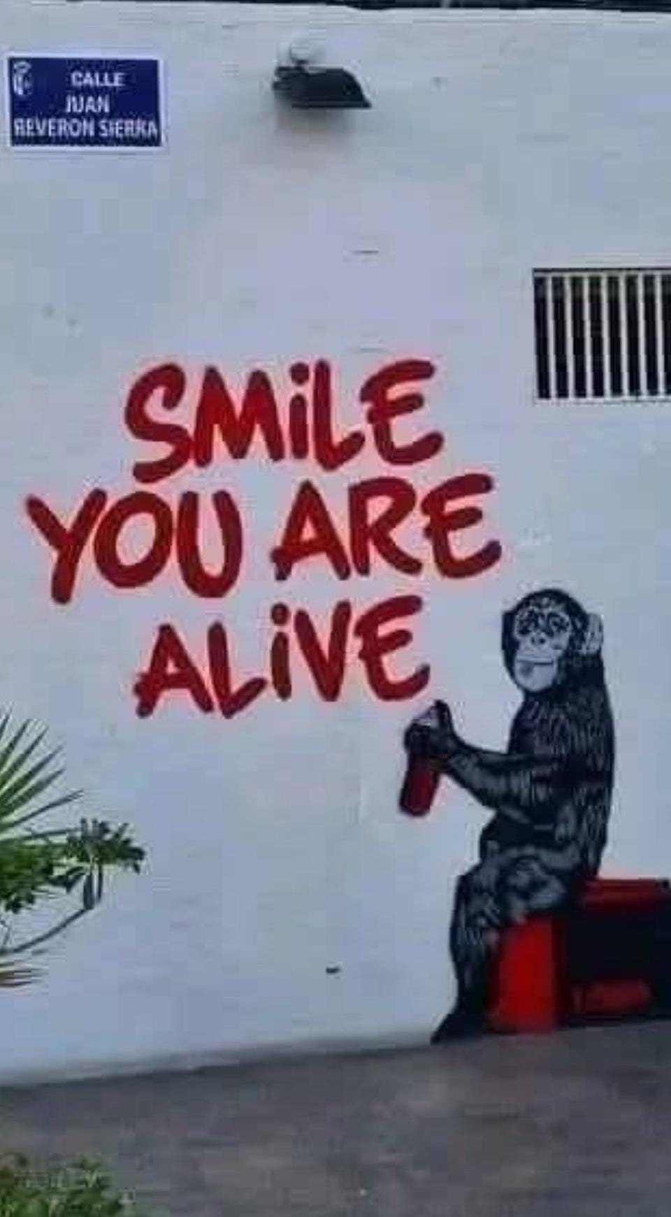 アート〜you are smiie is...〜 Smile, You Are Alive, Banksy(framed) - Etsy