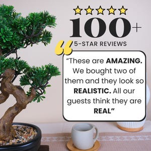 Puede incluir: Un bons&aacute;i con hojas verdes y un tronco marr&oacute;n en una maceta negra. La imagen incluye el texto "100+ 5-STAR REVIEWS" y una cita de un cliente: "These are AMAZING. Se ven tan REALISTAS."