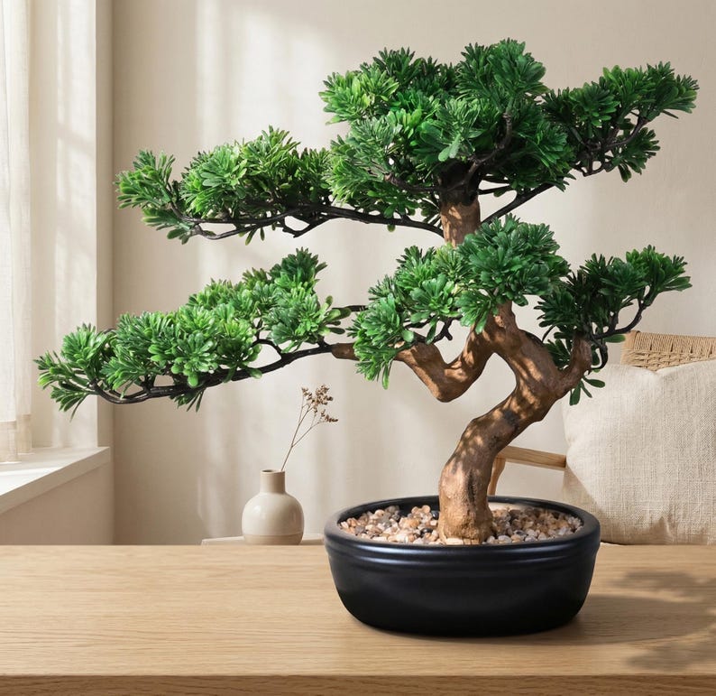 Puede incluir: Un bons&aacute;i decorativo con follaje verde vibrante y un tronco marr&oacute;n texturizado. El &aacute;rbol est&aacute; plantado en una elegante maceta de cer&aacute;mica negra llena de peque&ntilde;os guijarros. El bons&aacute;i se exhibe sobre una superficie de madera clara.