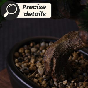 May include: A close-up of a bonsai tree in a dark brown ceramic pot. The tree's trunk is a textured brown, and the soil is covered with small, light-colored pebbles. The image includes the text "Precise details".