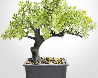 Artificial Bonsai Tree Realistic Fake plant Zen Faux for Home Desk Shelf Livingroom Japanese Decor