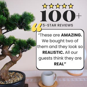 May include: A small, artificial bonsai tree with green foliage and a brown trunk sits in a black pot filled with small pebbles. The image includes text that reads "100+ 5-STAR REVIEWS" and a customer quote: "These are AMAZING...REAL."