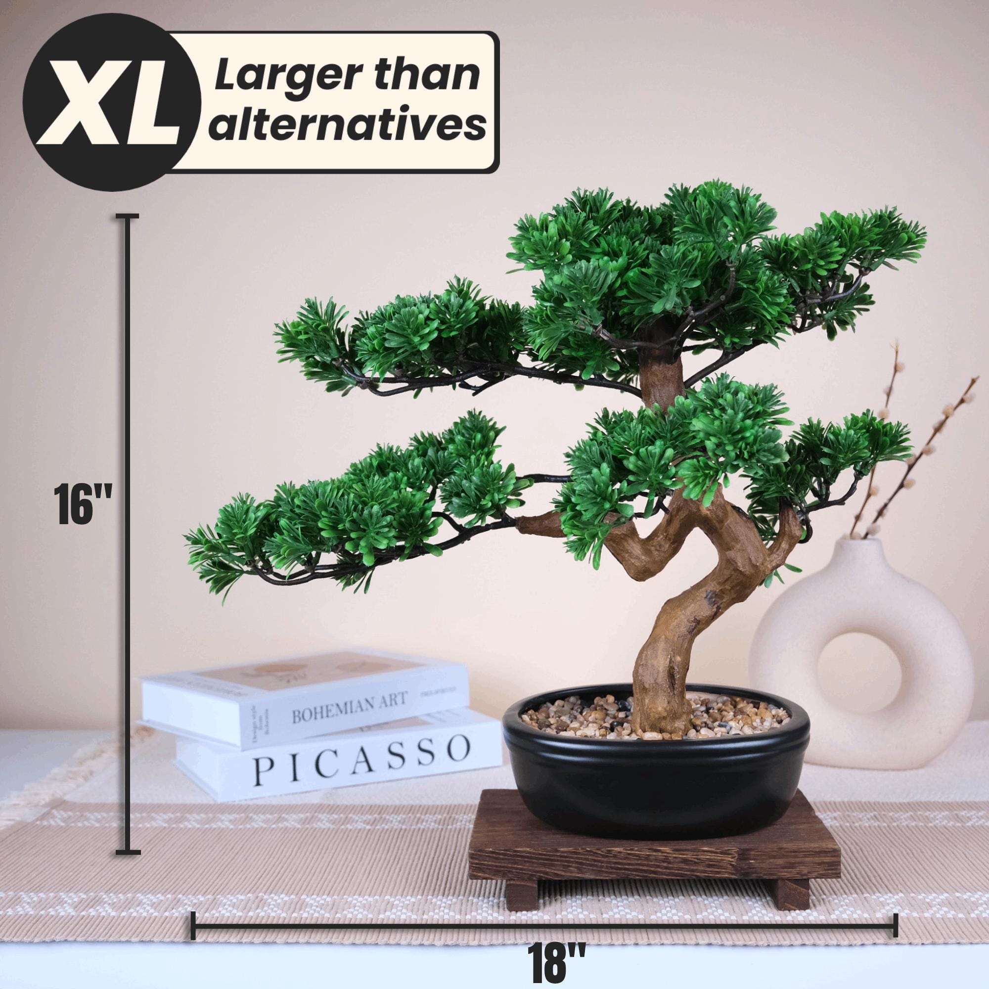 bambus wohnzimmer pflanze Bambus rufa (Fargesia rufa) | 60-80 cm im Topf