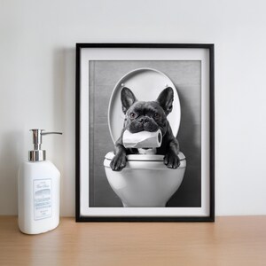 May include: A black and white photo of a French bulldog sitting on a toilet with a roll of toilet paper in its mouth.