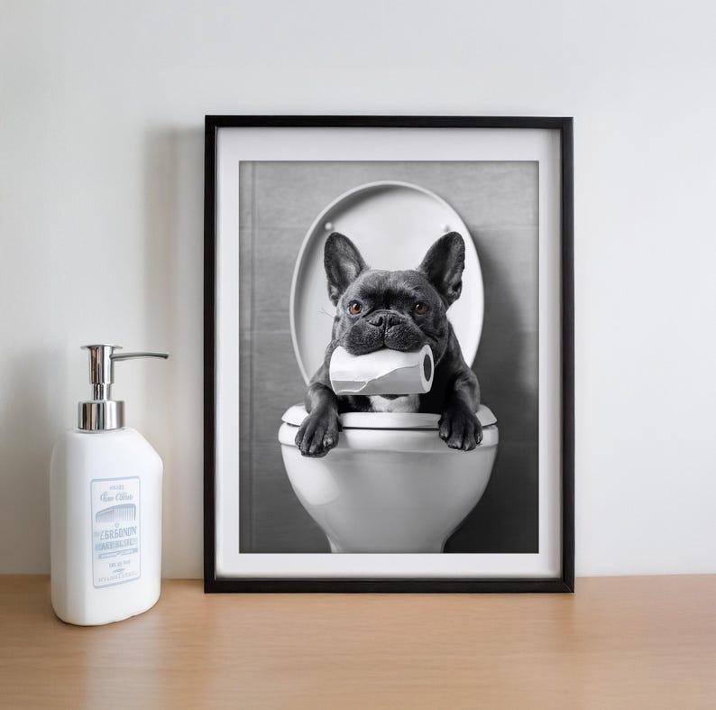 May include: A black and white photo of a French bulldog sitting on a toilet with a roll of toilet paper in its mouth.