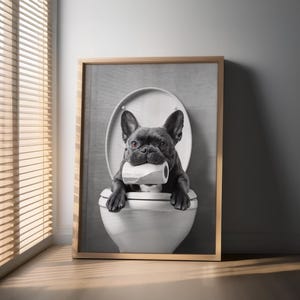 May include: A black and white photo of a French bulldog sitting on a toilet with a roll of toilet paper in its mouth.
