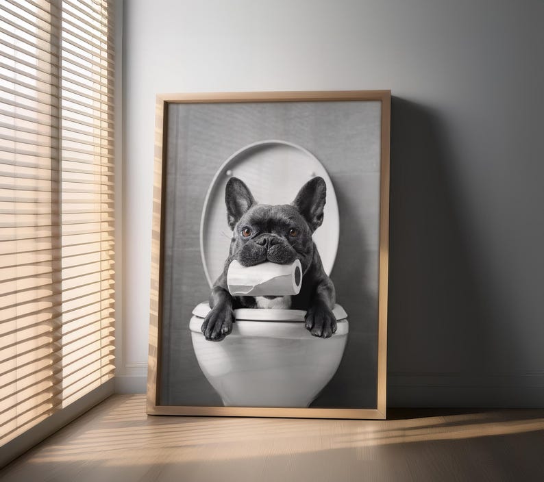May include: A black and white photo of a French bulldog sitting on a toilet with a roll of toilet paper in its mouth.