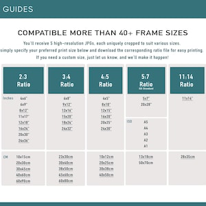May include: A chart showing different print size ratios for artwork, including 2:3, 3:4, 4:5, 5:7, and 11:14. The chart lists various sizes in inches and centimeters, including standard ISO paper sizes.
