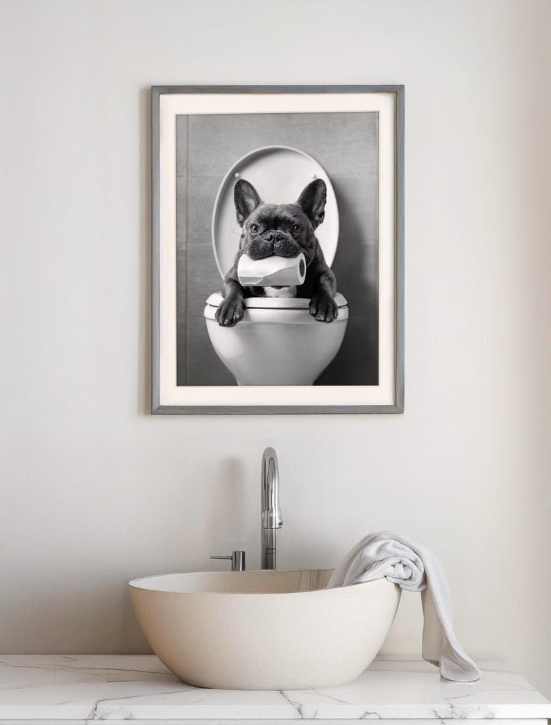 May include: A black French bulldog sits on a white toilet bowl, holding a roll of toilet paper in its mouth. The dog is looking directly at the camera. The image is in black and white and is framed in a silver frame.