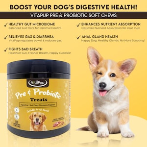 VitaPup Pre & Probiotic Dog Treats
