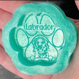Labradorit Pfoten Silikonform