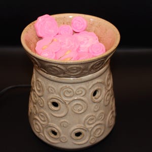 Succulent Warmer - Etsy