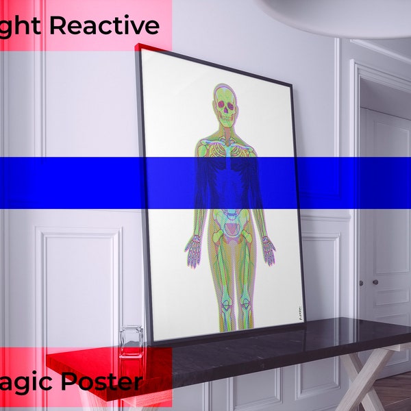 Anatomy Spectrum - RGB Light Reactive Poster with Body Systems