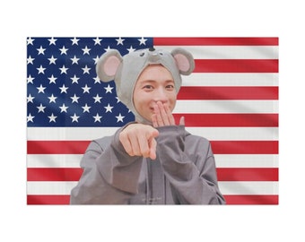 TxT Taehyun Mouse Meme Amerikaanse vlag, wandtapijttour 2024