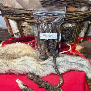 Puede incluir: Una bolsa de plástico transparente que contiene raíces secas, marrones y beige, etiquetadas como "Sinkpe'lawote (Northern Plains Bitter Root)". Dos raíces adicionales están sobre una superficie roja. Una cesta tejida y pieles están en el fondo.