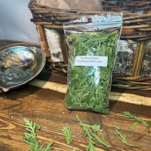 Traditionele ceder uit de noordelijke vlakten