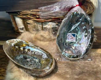 Medium Abalone Shell