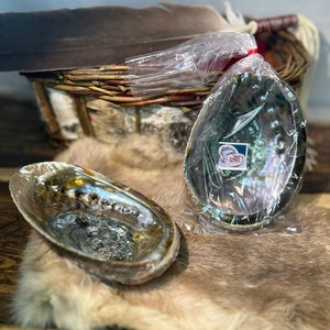 Medium Abalone Shell