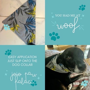 Dog Collar Bandana
