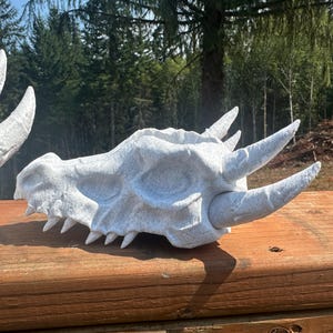 May include: A pair of white dragon skull sculptures with prominent horns and sharp teeth. The skulls are textured and sit on a wooden surface, with a backdrop of trees and sunlight.