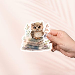 フクロウと本のステッカー、かわいいビニールステッカー、ファンタジーな本好きのグッズ、本好きへのギフト、電子書籍リーダー Kindle ステッカー、読書好き、Booktok