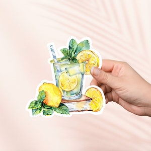 Pegatina de limonada de verano, linda pegatina Cottagecore, pegatinas Kindle, merchandising librero, regalo para amantes de los libros, regalo de lector electrónico, amante de la lectura, lector de obscenidades