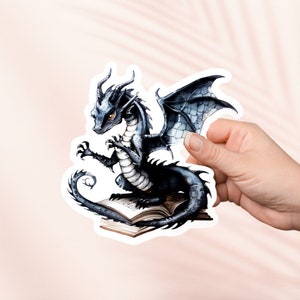 Buch Drache Fantasy Reader Aufkleber, vierter Flügel, Bookish Merch, Buch-Liebhaber Geschenk, e-reader Kindle Aufkleber, Leseliebhaber,Smut Reader Booktok
