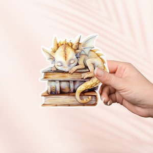 Drachen schläft auf Bücher Aufkleber, Bookish Merch, Fantasy Aufkleber, e-reader Kindle Aufkleber, Leseliebhaber, Fantasy Aufkleber