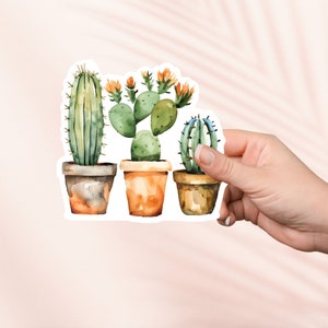Pegatina de macetas de cactus, linda pegatina de vinilo bookish, merchandising bookish, regalo para amantes de los libros, pegatinas Kindle para lectores electrónicos, amantes de la lectura, lectores de obscenidades