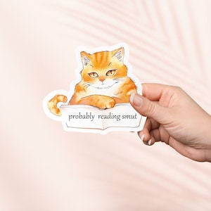 Probablemente leyendo pegatina Smut, Bookish Merch, regalo para amantes de los libros, pegatinas Kindle para lectores electrónicos, amantes de la lectura, Booktok, lindo gato y libro Pegatina