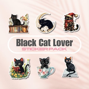 Paquete de pegatinas para amantes de los gatos negros, paquete de pegatinas de vinilo para amantes de los libros, regalo navideño para amantes de los libros, pegatinas para Kindle, gatito en libros, luna brillante