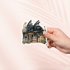 Schwarzer Drache auf Bücherregal Aufkleber, niedlicher Vinyl Aufkleber, Fantasy Bookish Merch, Buch-Liebhaber-Geschenk,e-reader Kindle Aufkleber, Booktok