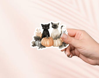 May include: A sticker featuring two cats, one black and one light gray, sitting atop pumpkins. The pumpkins are orange and gray, surrounded by fall foliage. The sticker has a watercolor style and is perfect for fall or Halloween.