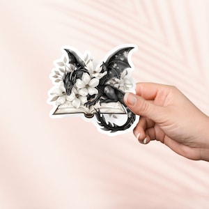 Schwarzer Drache Buch Aufkleber, Fantasy Bookish Merch, Geschenk für Buch-Liebhaber, e-reader Kindle Aufkleber, Leseliebhaber, Smut Reader,Booktok