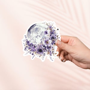 Autocollant fantaisie pleine lune, autocollant pour tablette, produit livresque, cadeau pour amoureux des livres, autocollants Kindle e-reader, amateur de lecture, Smut Reader Booktok