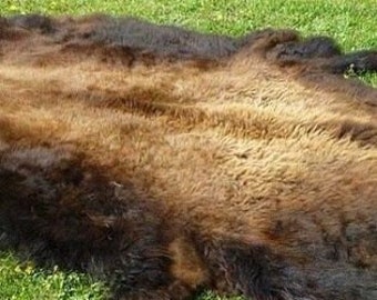 Bison Hide - large